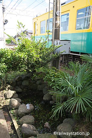 富山地鉄本線・電鉄石田駅の枯池。元京阪の車両が通り過ぎる