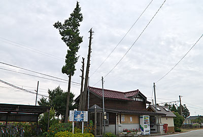 富山地鉄・立山線・釜ヶ淵駅、木造駅舎と背が高い木