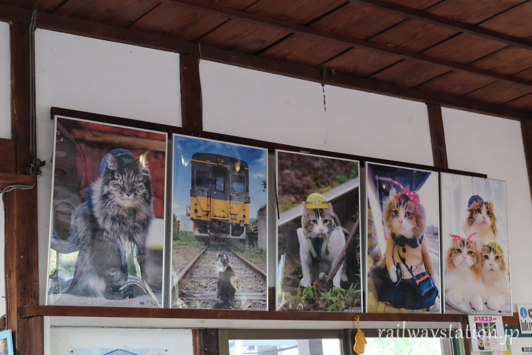 会津鉄道・芦ノ牧公園駅に展示された駅長猫たちの写真