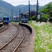 崎山駅、石炭輸送が盛んだった国鉄田川線時代を思わせる駅構内