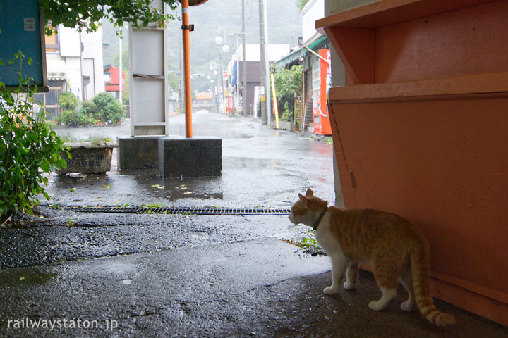 富士急行大月線、雨の谷村町駅と駅猫