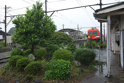 岳南鉄道・岳南富士岡駅構内、植込みと元東急5000系電車