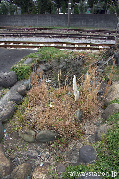 岳南鉄道 (現・岳南電車) 岳南原田駅、枯池を横から見る