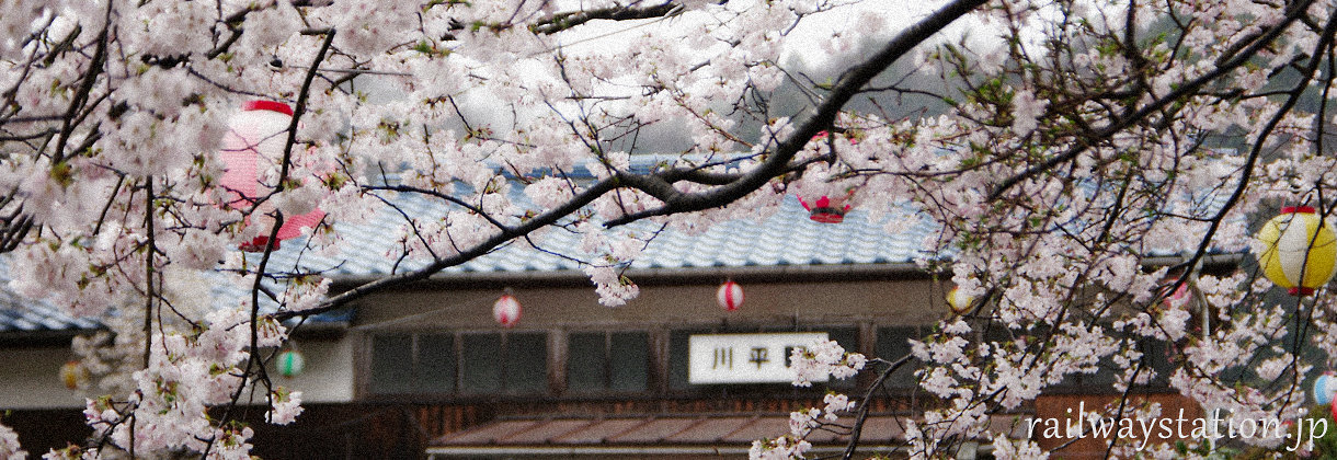 日本全国の鉄道路線、桜が楽しめる駅、イメージ画像