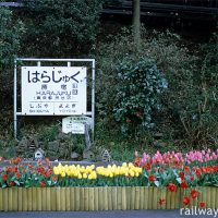 原宿駅3番線、国鉄型駅名標とチューリップの展示、そして原宿村