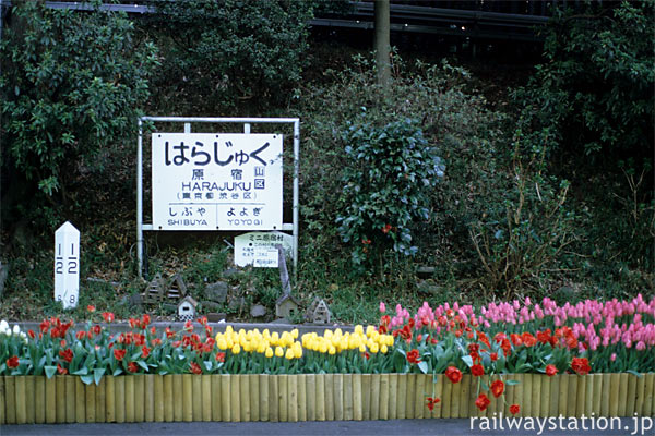 原宿駅3番線、国鉄型駅名標とチューリップの展示、そして原宿村