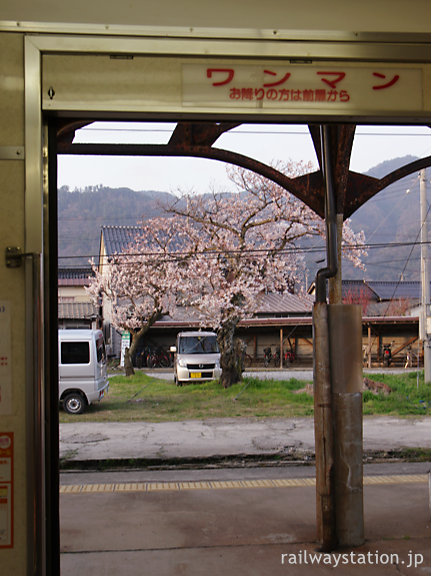 一畑電車・出雲大社駅、帰りの車内から見た駅構内の桜