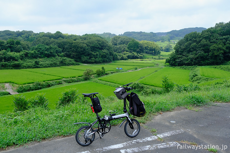 DAHON_K3で走る久米南町、山間の青々しい水田