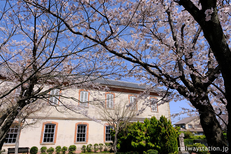 日本最古の駅舎、長浜駅舎と桜