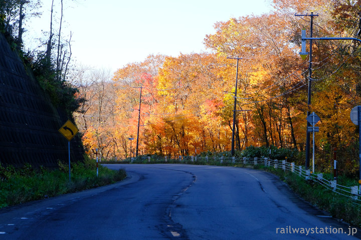 鹿部町、紅葉が鮮やかに色づく道道43号線