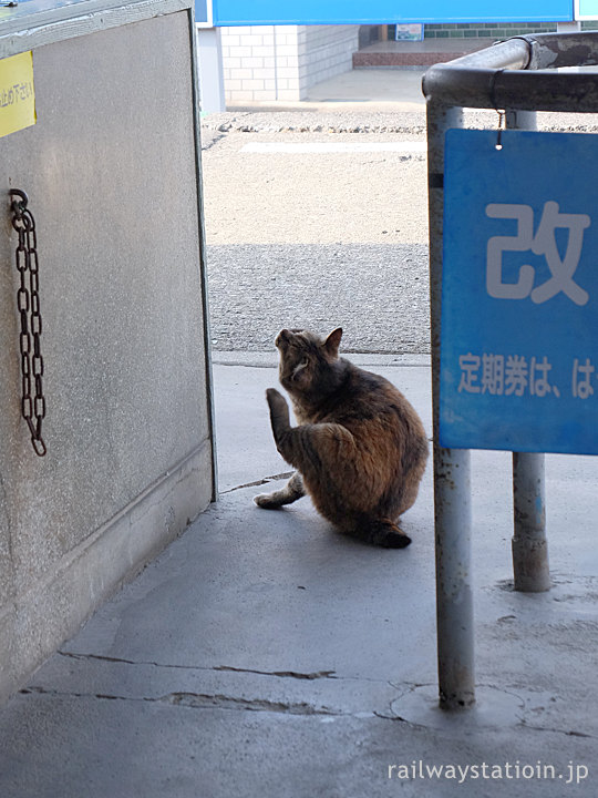 上信電鉄・西富岡駅、改札する?駅猫