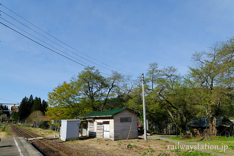 JR只見線・会津中川駅、桜は散ってしまった…