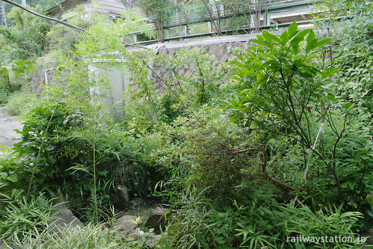 JR青梅線・鳩ノ巣駅、駅舎とホームの間の枯池