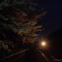 JR花輪線・小屋の畑駅、列車のライトに照らし出された夜桜