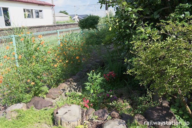 JR東北本線・仙北町駅、駅舎ホーム側の枯池