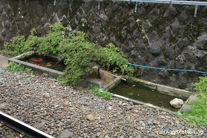 JR東日本・田端駅の鑑賞池、2連の池