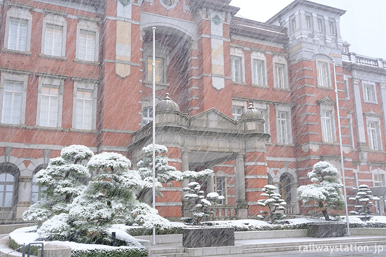 大雪の東京駅、丸の内駅舎前の松の木々にも雪が積もる