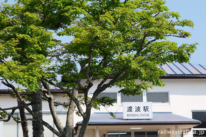 石巻線・渡波駅、駅前ロータリーの紅葉の木