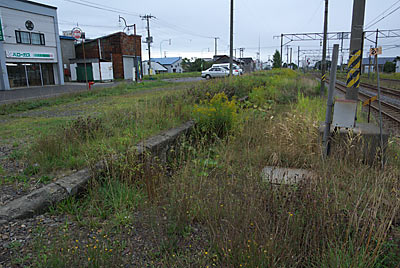 函館本線・江部乙駅、草に埋もれた側線ホーム跡