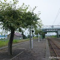 函館本線・江部乙駅、梨の木が植えられたプラットホーム