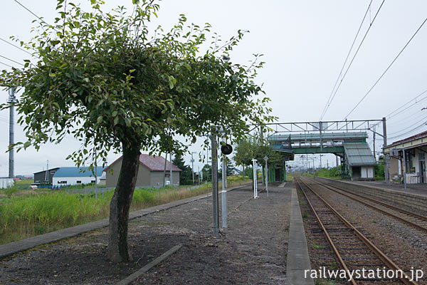 函館本線・江部乙駅、梨の木が植えられたプラットホーム