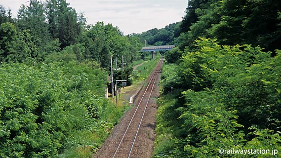 緑豊かな中にポツンと…石北本線の秘境駅・西女満別駅