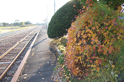 JR根室本線、秋深まり紅葉が色づく布部駅