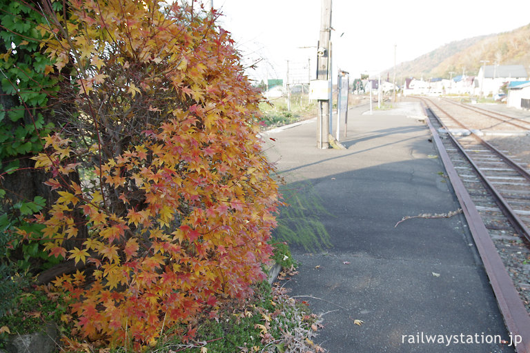 秋の北海道、JR根室本線・布部駅ホーム、色づく紅葉