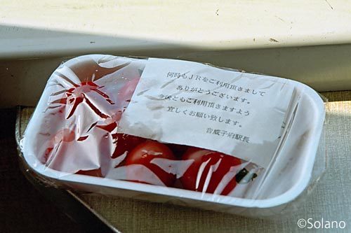 北海道・音威子府駅育ちのプチトマトを車内でいただく