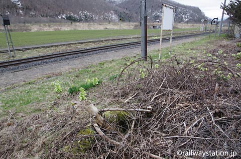 石北本線・下白滝駅、ホーム上の枯池