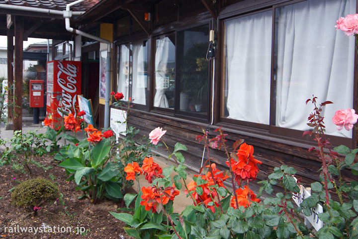 JR日豊本線・豊前松江駅、花壇で咲く薔薇