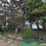 JR九州・日田彦山線・石原町駅の緑豊かな池庭跡