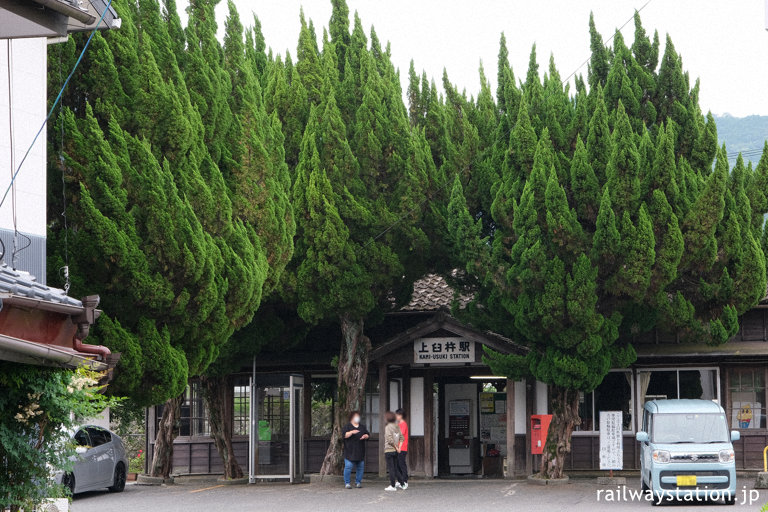 日豊本線・上臼杵駅、駅舎を覆いつくさんばかりのカイヅカイブキ