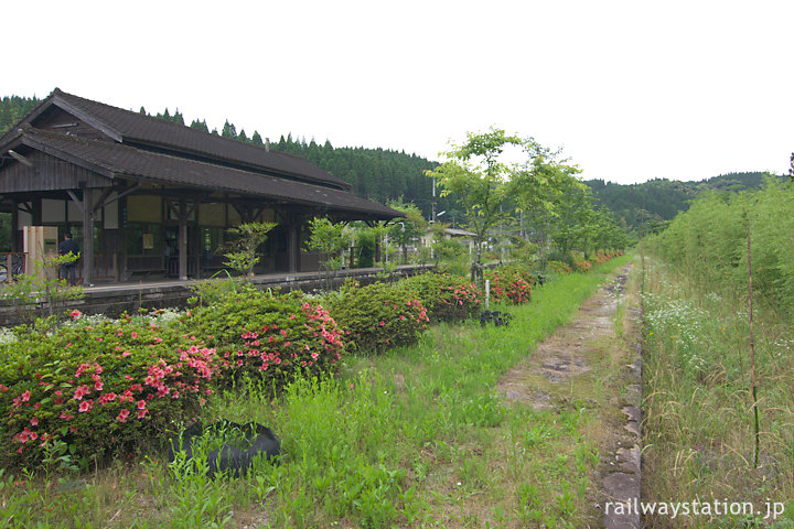 JR九州肥薩線・嘉例川駅、つつじ咲く島式ホーム跡と木造駅舎