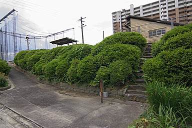 JR九州・久大本線・南久留米駅、築堤斜面の階段と植栽