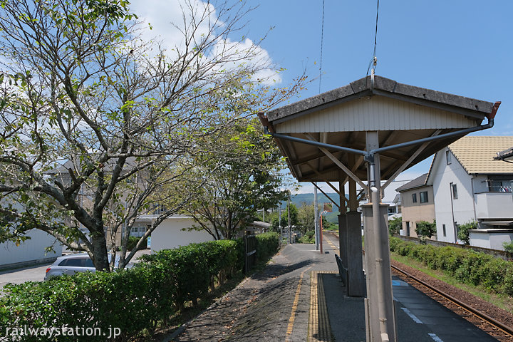 牟岐線新野駅、駅施設跡に植えられた桜の木々