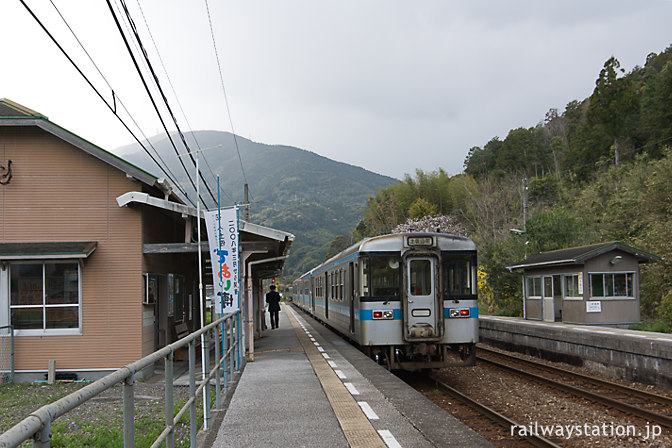 JR四国・土讃線・吾桑駅ホームに停車する1000形気動車