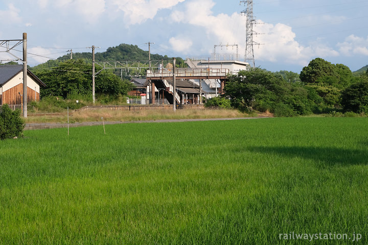 予讃線・伊予桜井駅、裏手の国分尼寺跡から見た風景