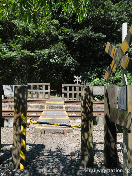 土讃線・坪尻駅南側の踏切