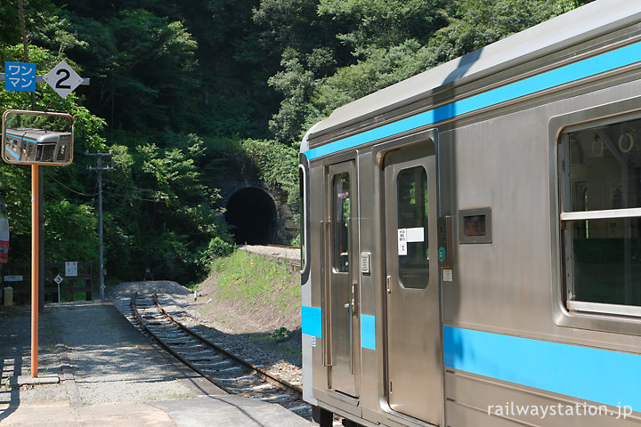 JR四国・土讃線、スイッチバック駅の坪尻駅に停車中の列車