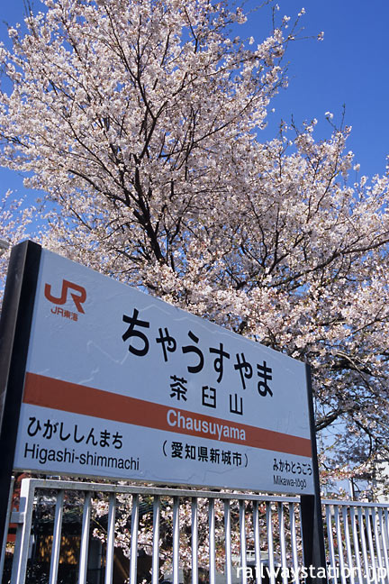 JR飯田線・茶臼山駅、駅名標と満開の桜