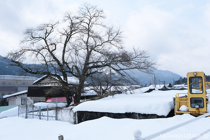 高山本線・飛騨一ノ宮駅、側線跡の桜の木