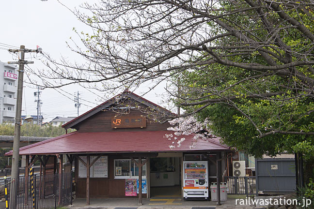 JR東海武豊線・亀崎駅、木造駅舎と桜の木