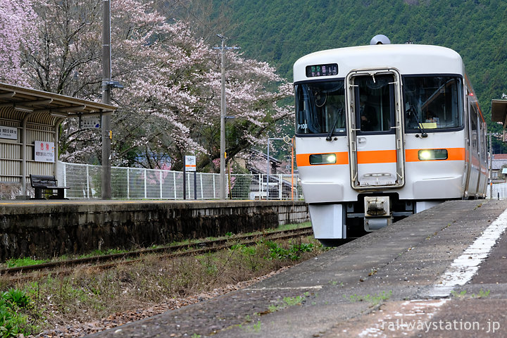 高山本線・桜咲く上麻生駅に到着した普通列車
