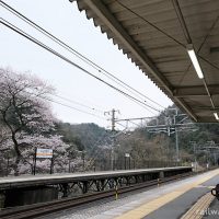 岐阜県、中央本線の秘境駅・古虎渓駅プラットホーム
