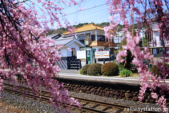 JR飯田線・長篠城駅、桜越しに眺めた駅構内