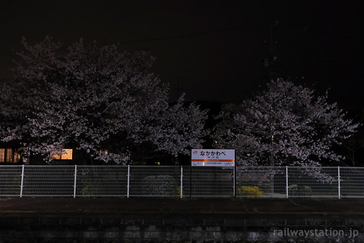 高山本線・中川辺駅、無人駅の夜桜
