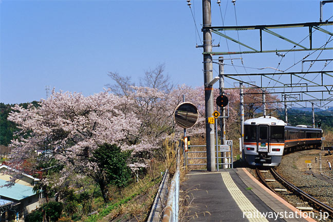 JR飯田線・大海駅、桜の横を通過する特急ワイドビュー伊那路