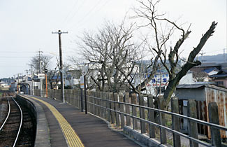 岐阜県可児市、太多線・下切駅(JR東海)。プラットホーム沿いの桜並木で知られた駅だが…