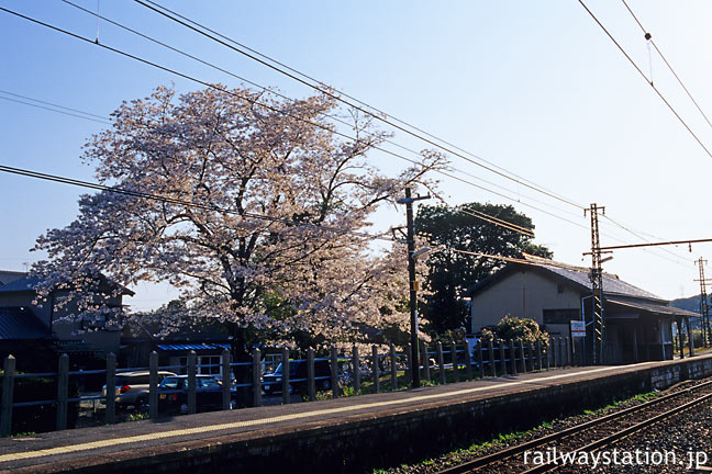 JR飯田線・東上駅、大きな桜の木と木造駅舎